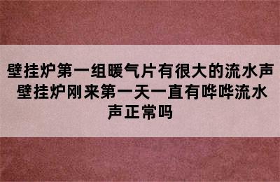 壁挂炉第一组暖气片有很大的流水声 壁挂炉刚来第一天一直有哗哗流水声正常吗